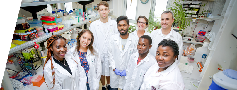 סטריפ יום פתוח 4